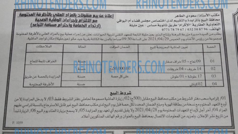 EL KHABAR