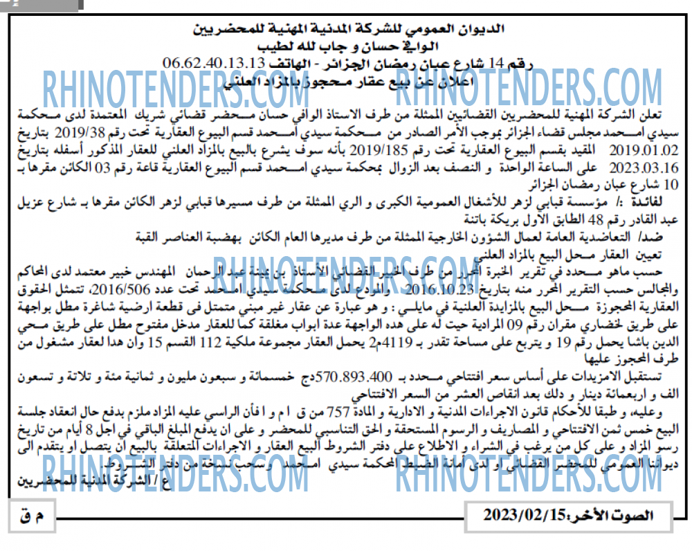 الصوت الاخر