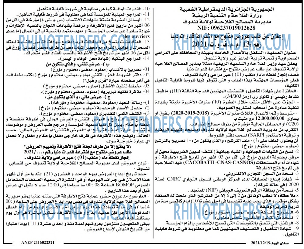 صدى اليوم