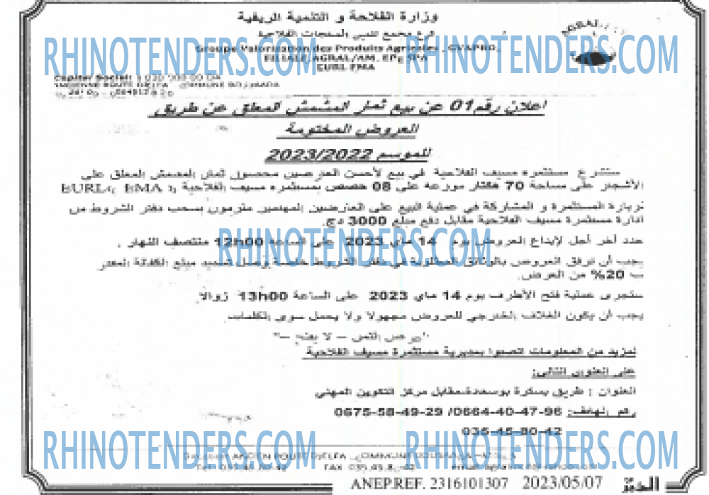 EL KHABAR