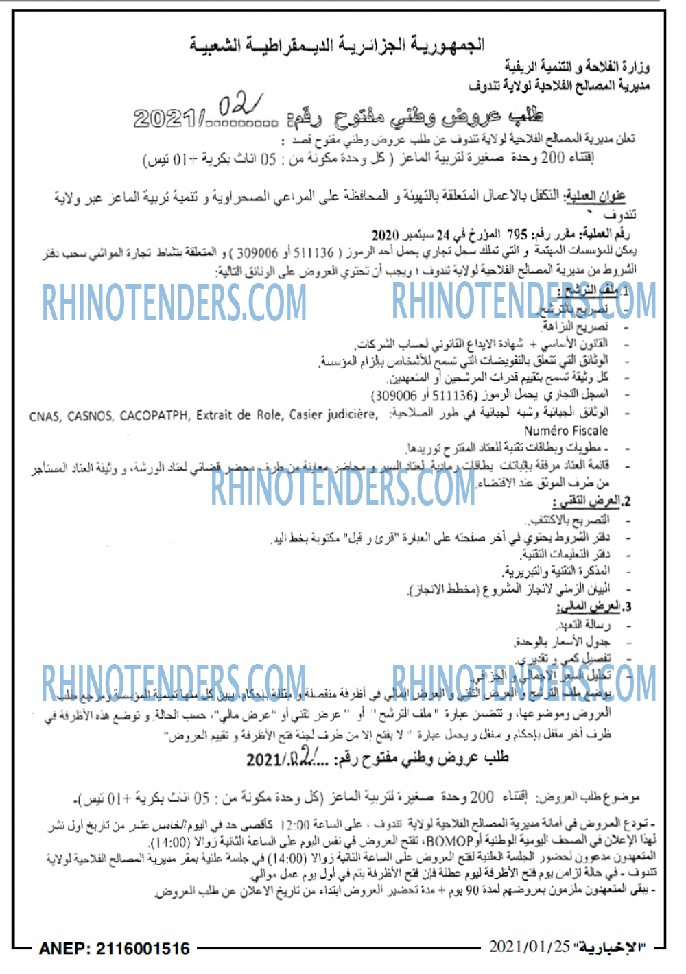 الاخبارية