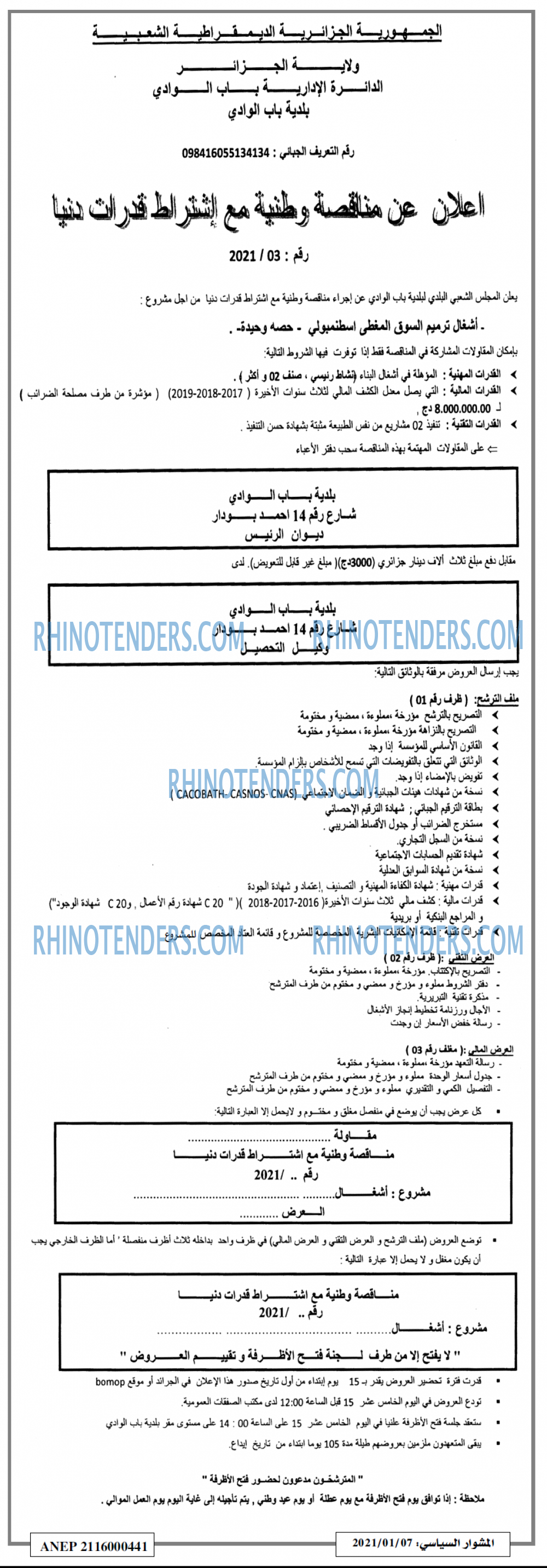 المشوار السياسي