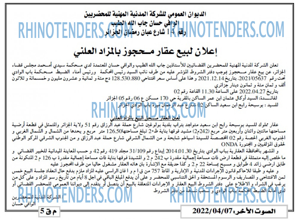 الصوت الاخر