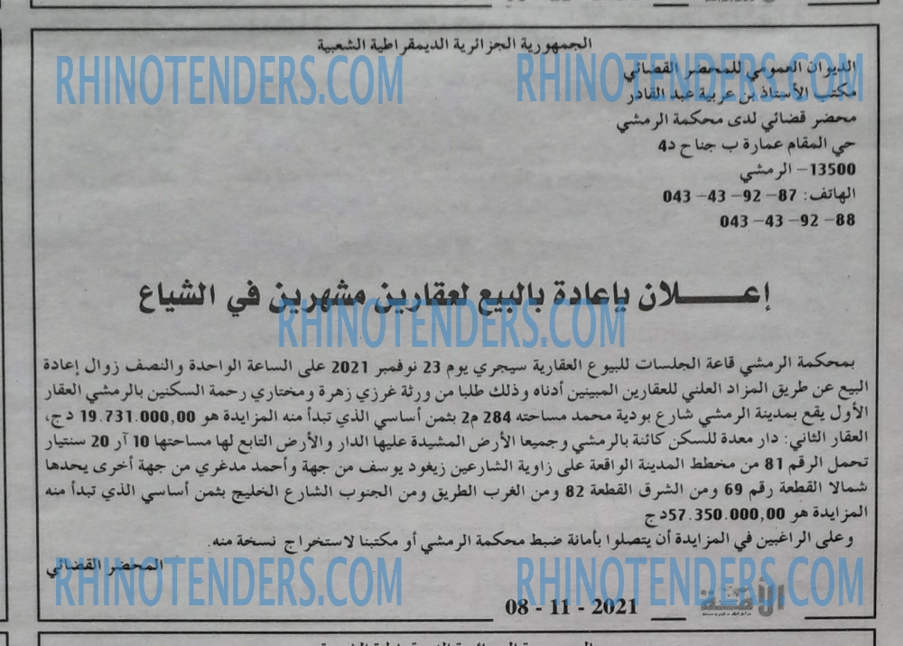 الأمة