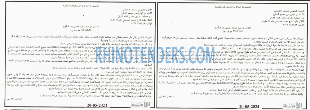 الأمة