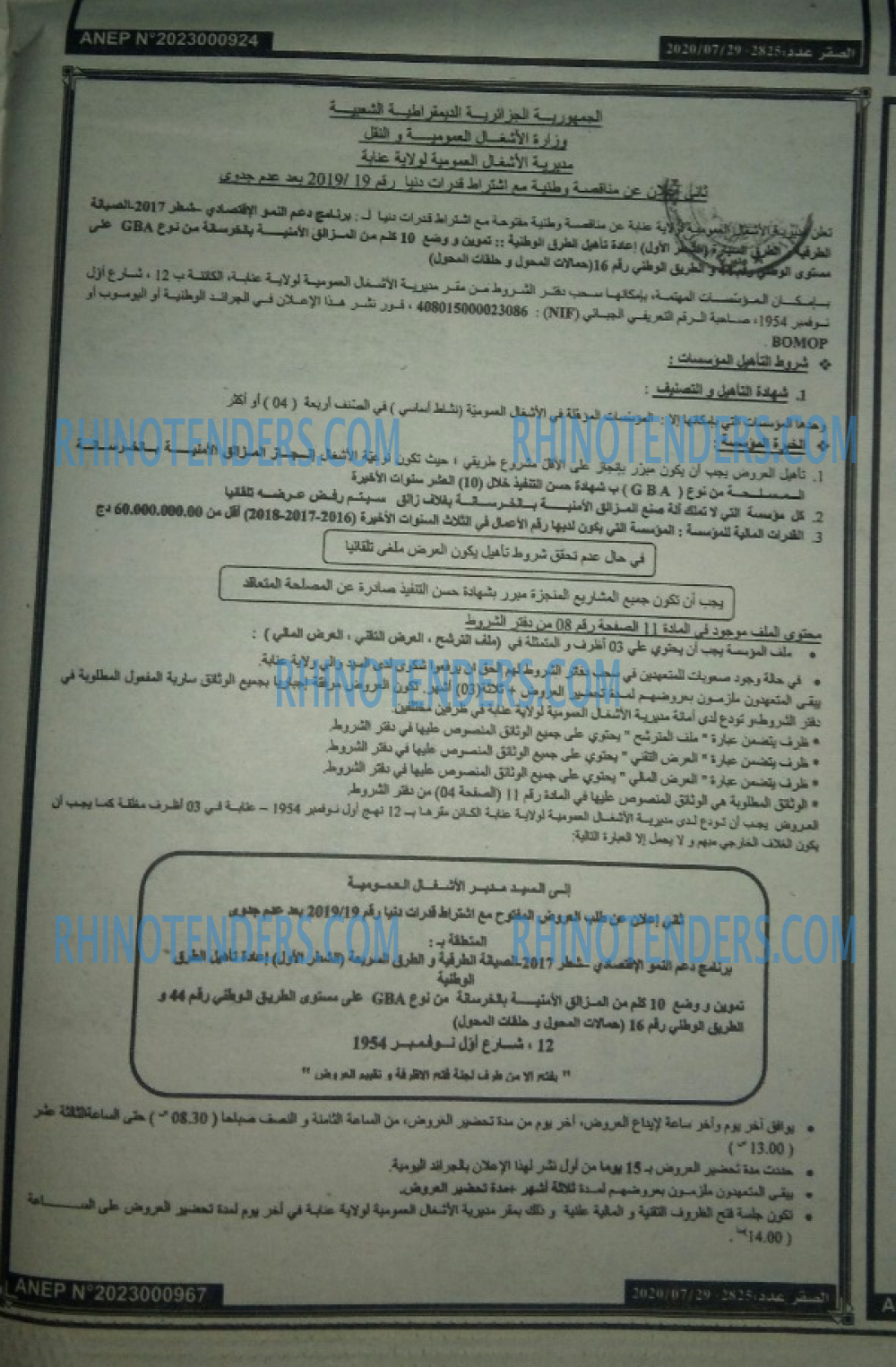 الصقر