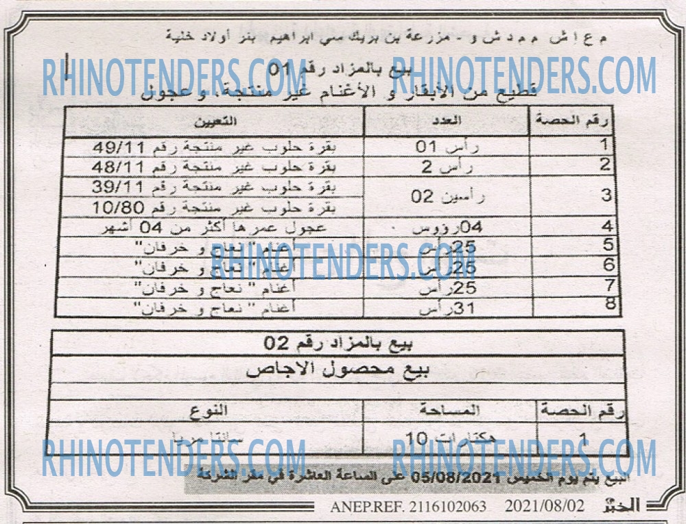 EL KHABAR
