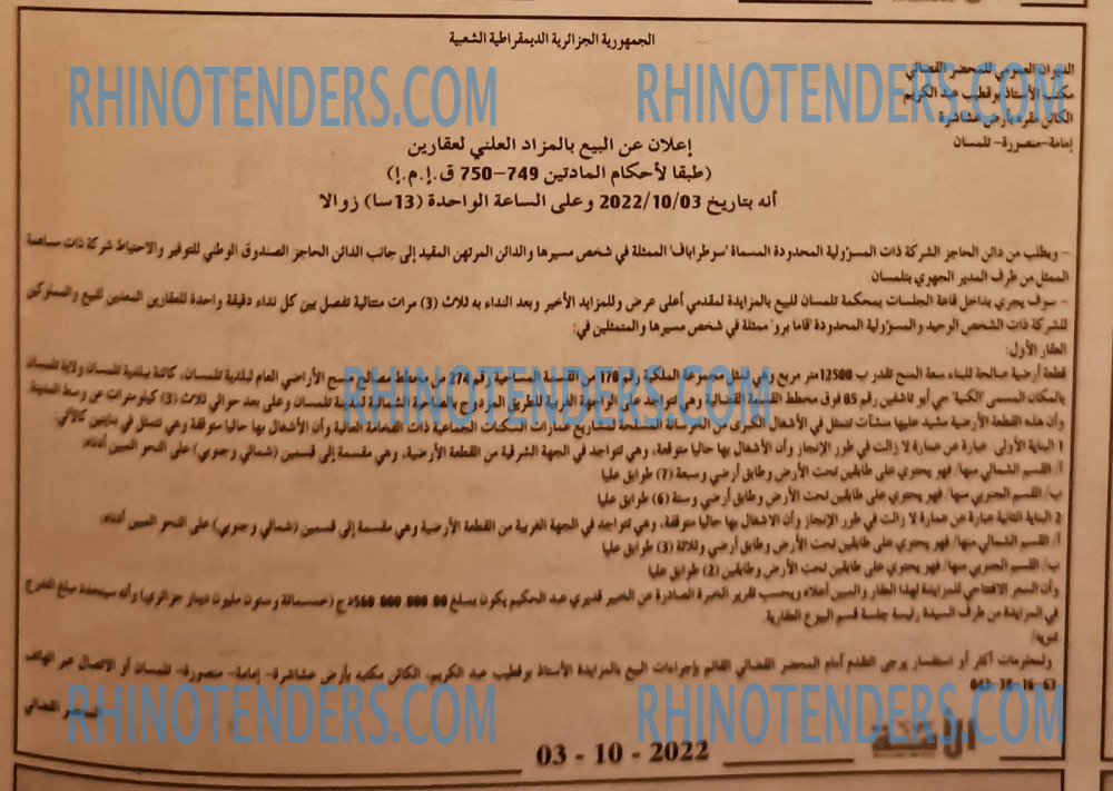 الأمة
