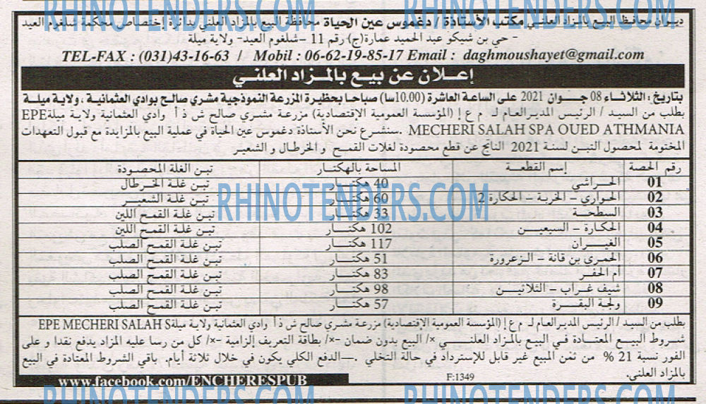 EL KHABAR