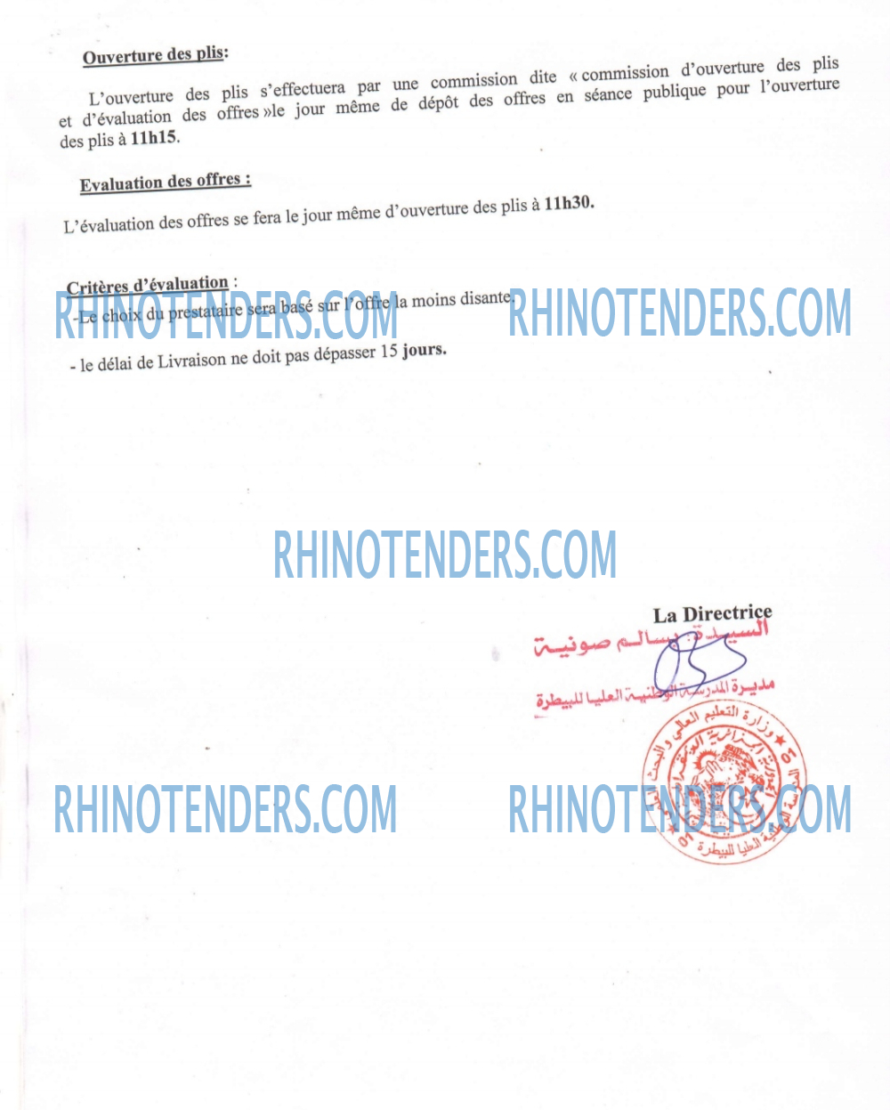 Rhinotenders
