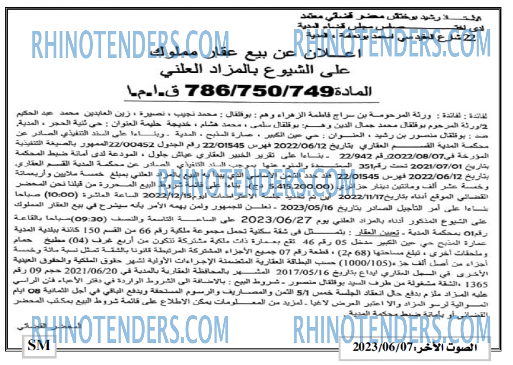 الصوت الاخر