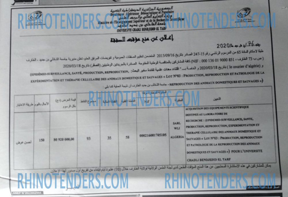 الصقر