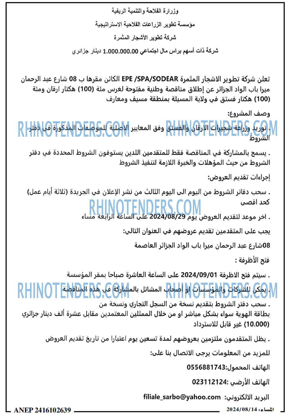 المساء