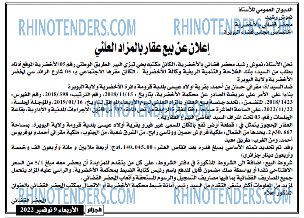 الجزائر الجديدة