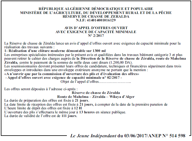 Le jeune indépendant