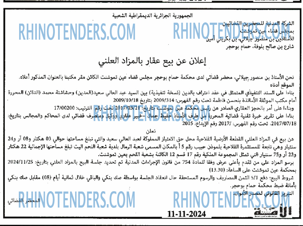الأمة