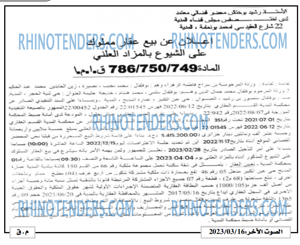 الصوت الاخر