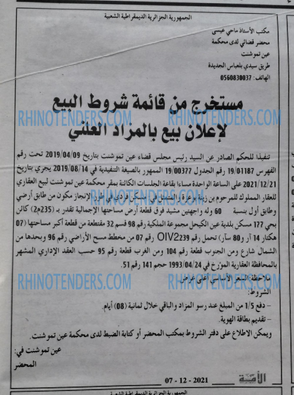 الأمة