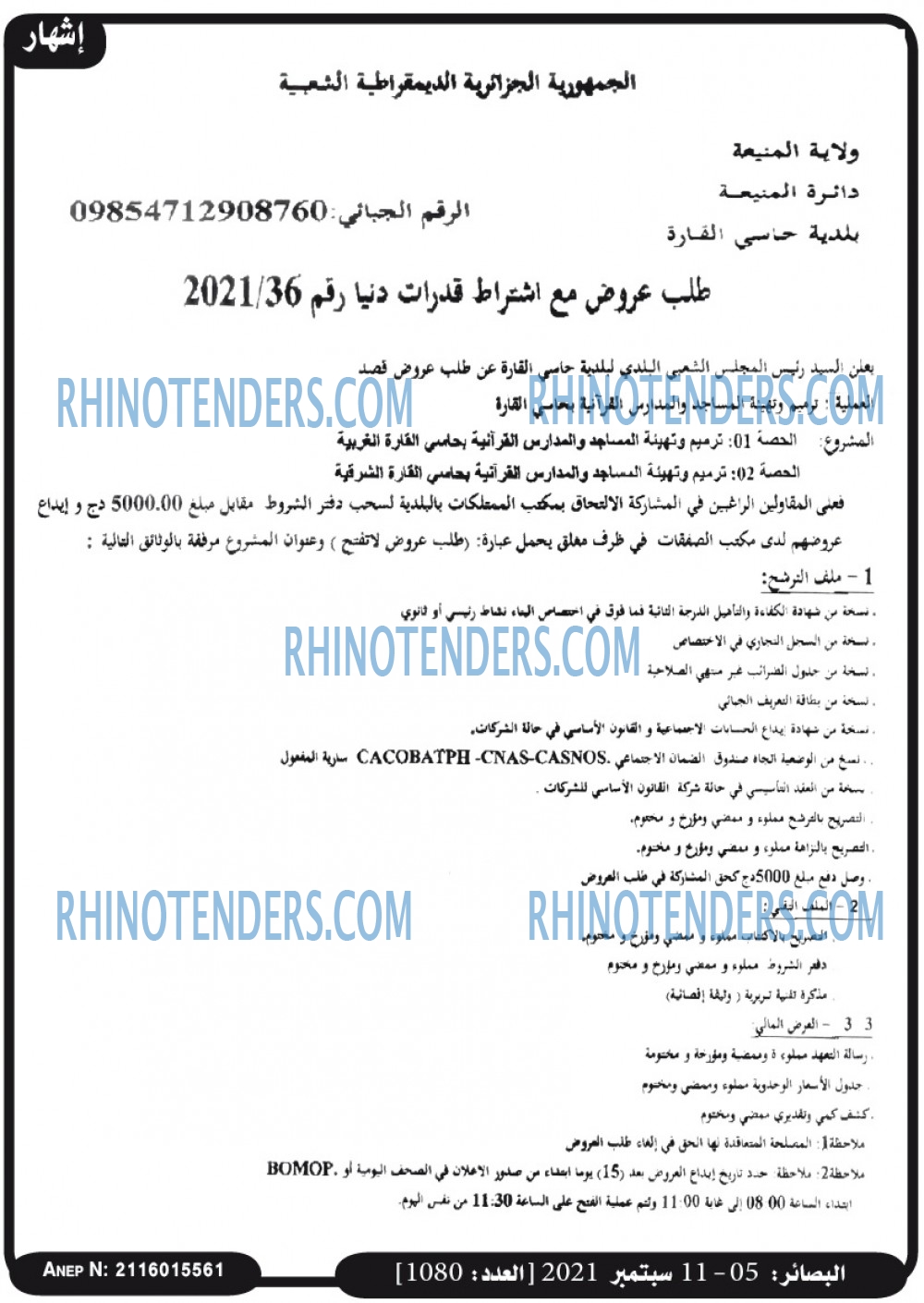 البصائر