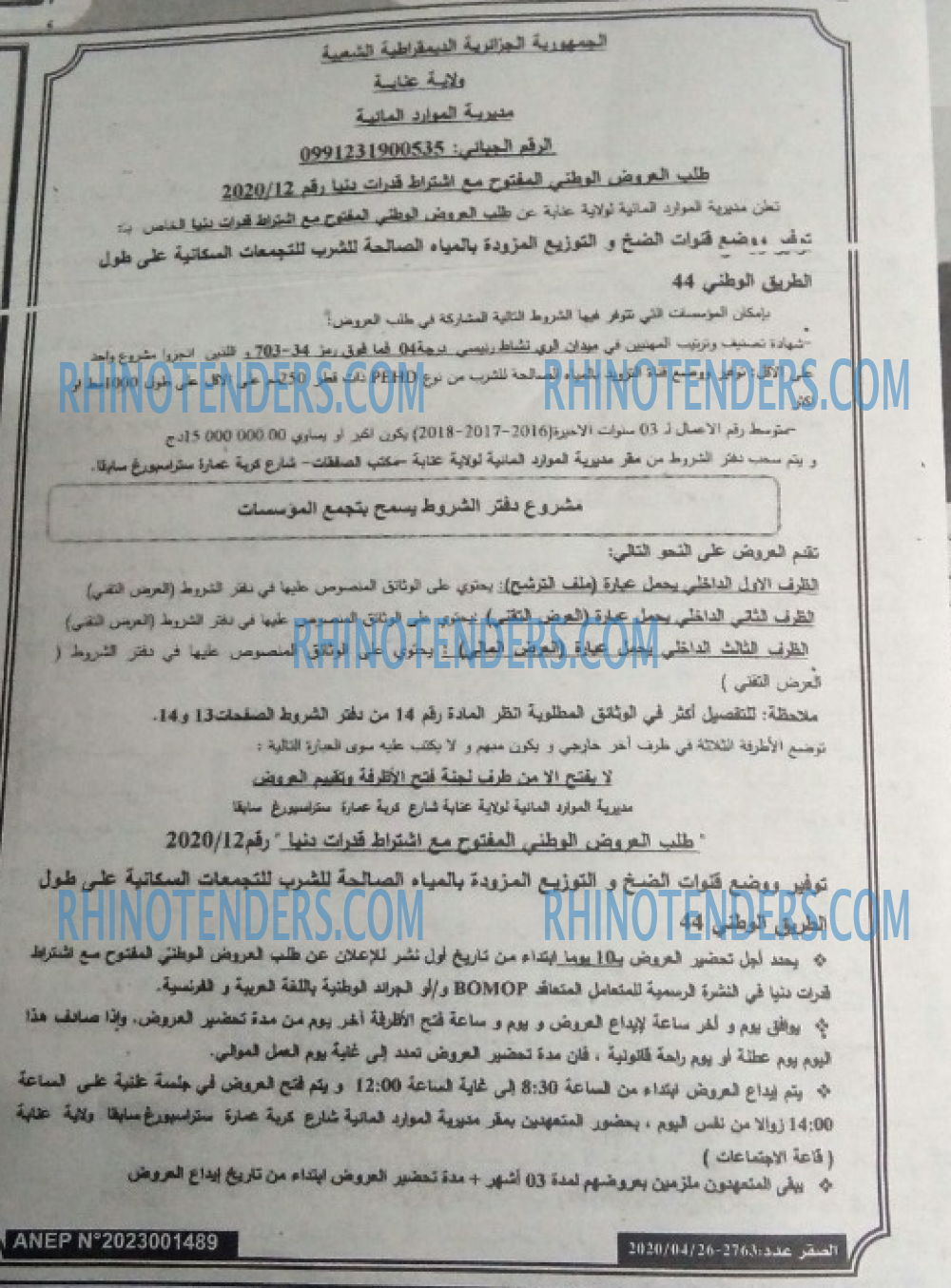 الصقر