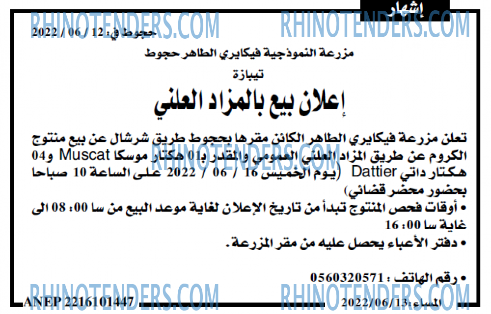 المساء