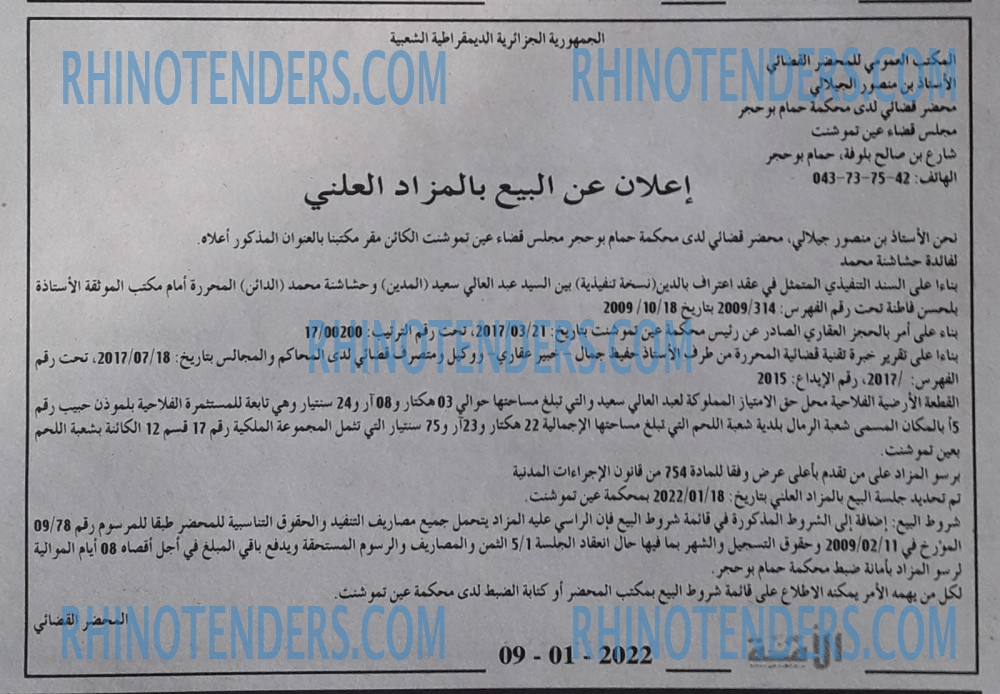 الأمة