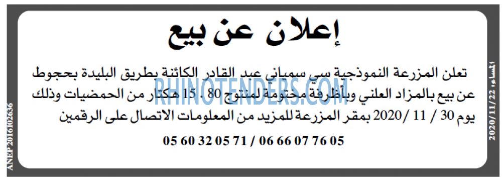 المساء
