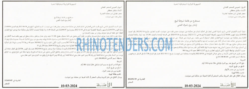 الأمة