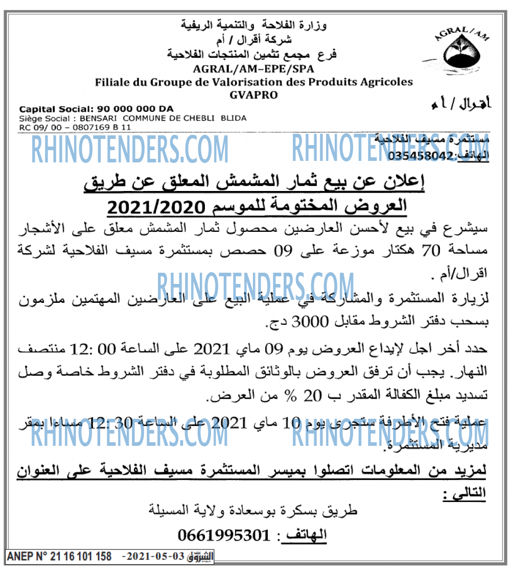 Echourouk