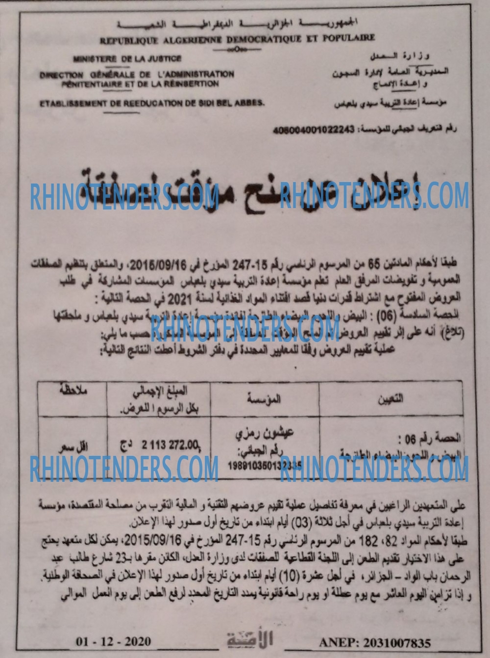 الامة