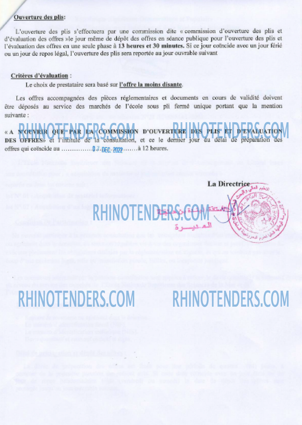 Rhinotenders