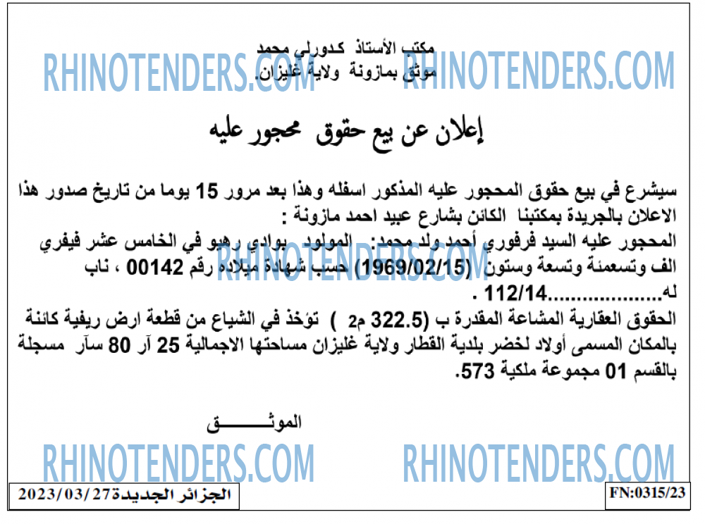 الجزائر الجديدة