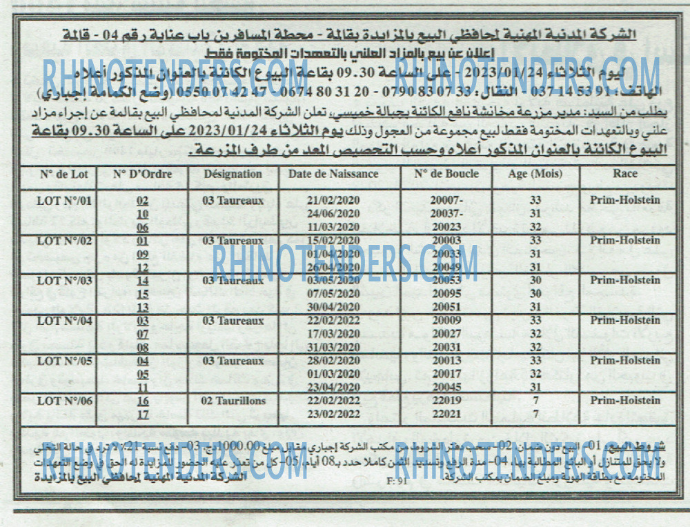 EL KHABAR