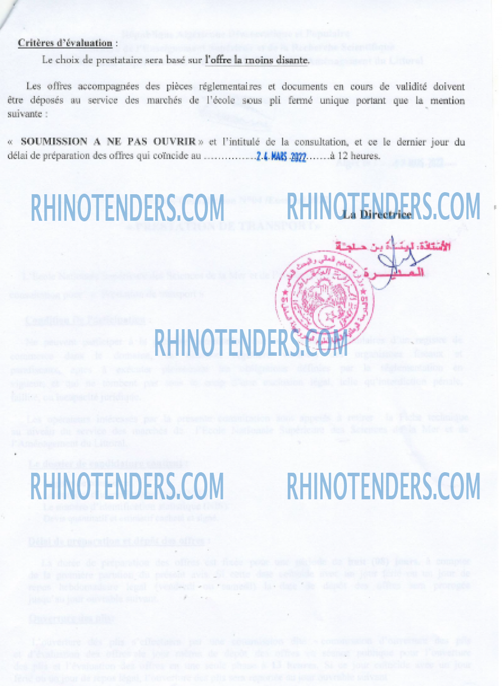 Rhinotenders