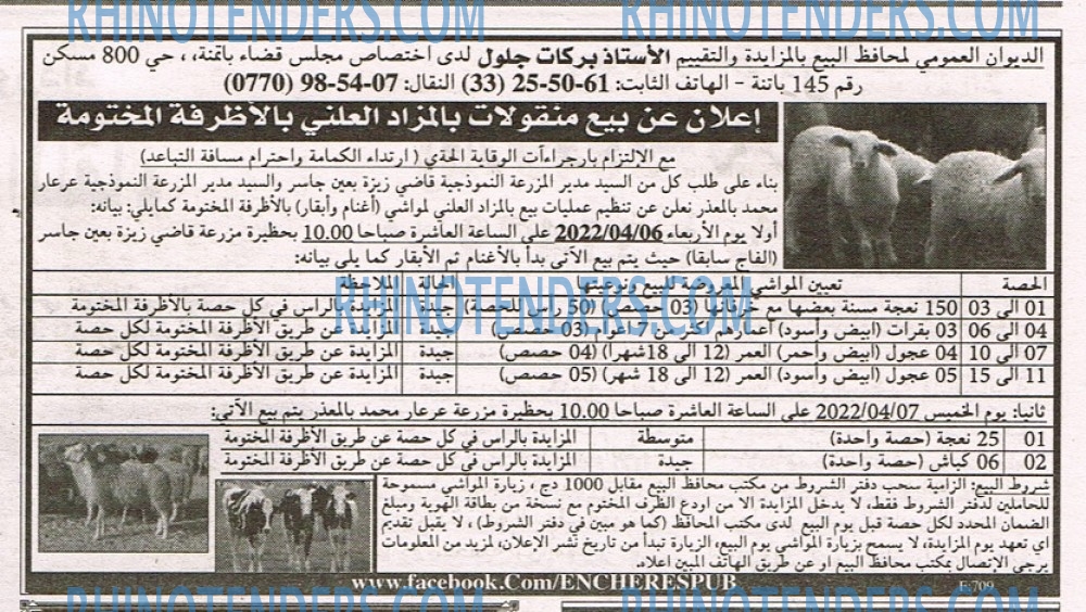 EL KHABAR
