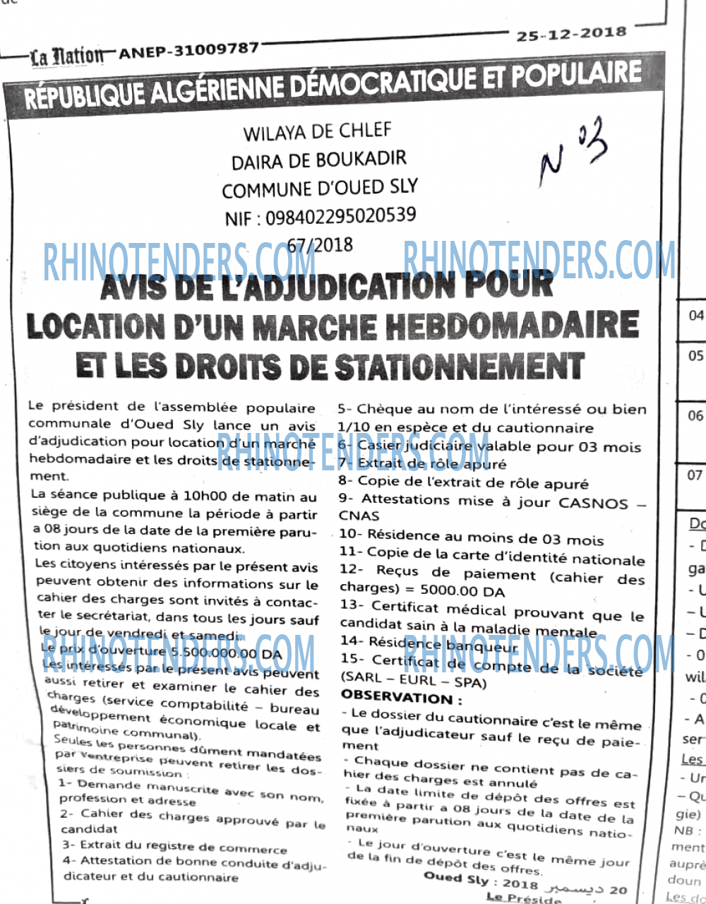 LA NATION ARABE