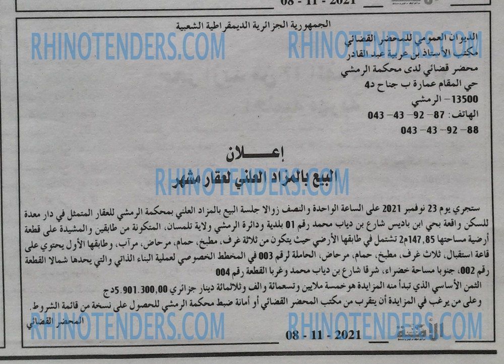 الأمة