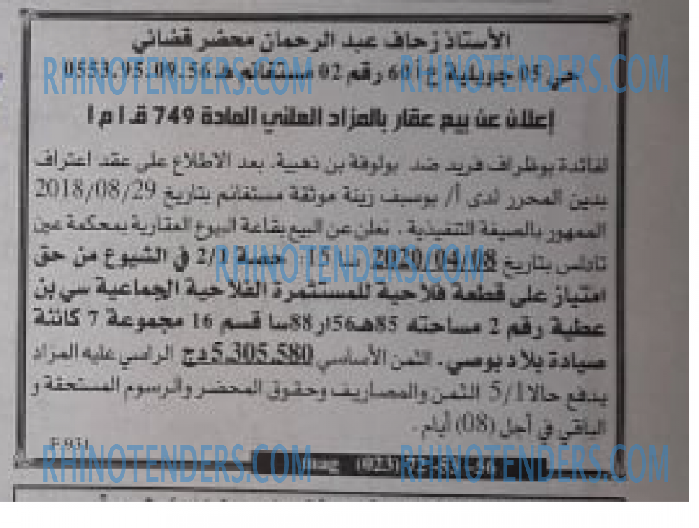 الخبر