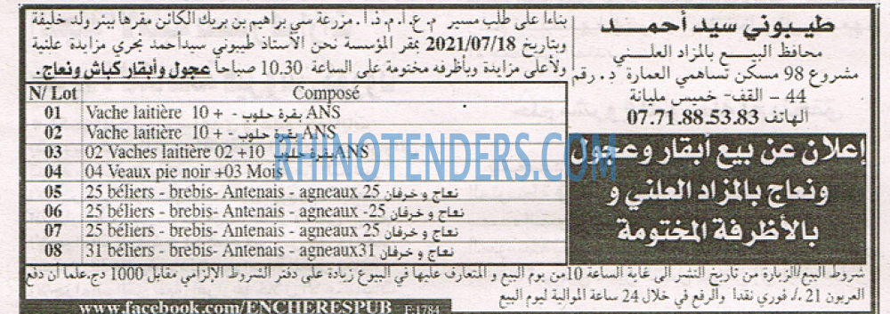 EL KHABAR