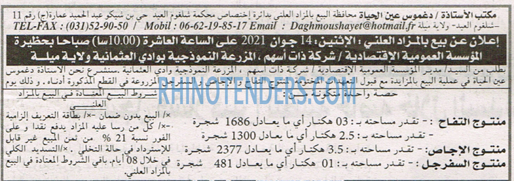 EL KHABAR