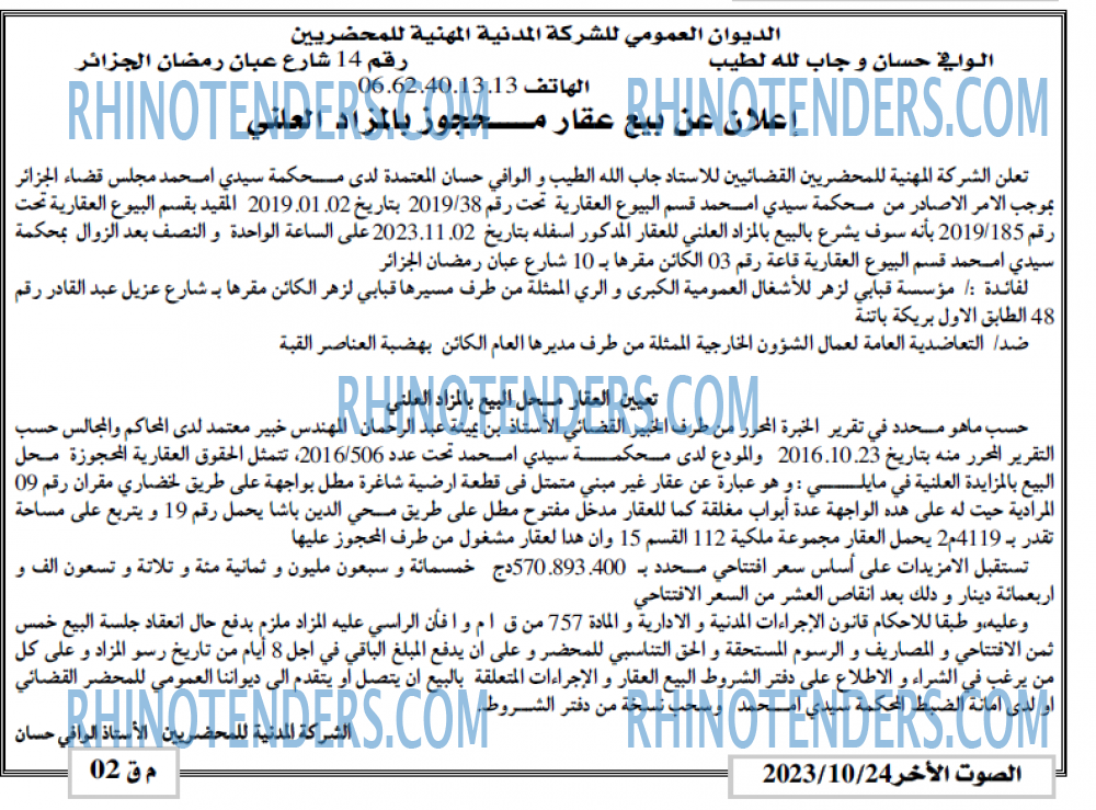 الصوت الاخر