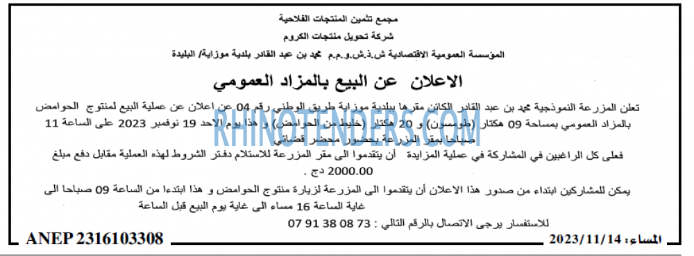 المساء