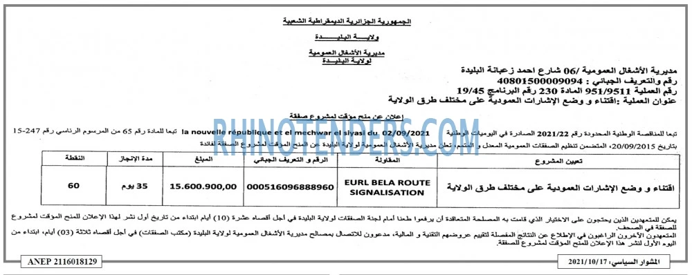 المشوار السياسي