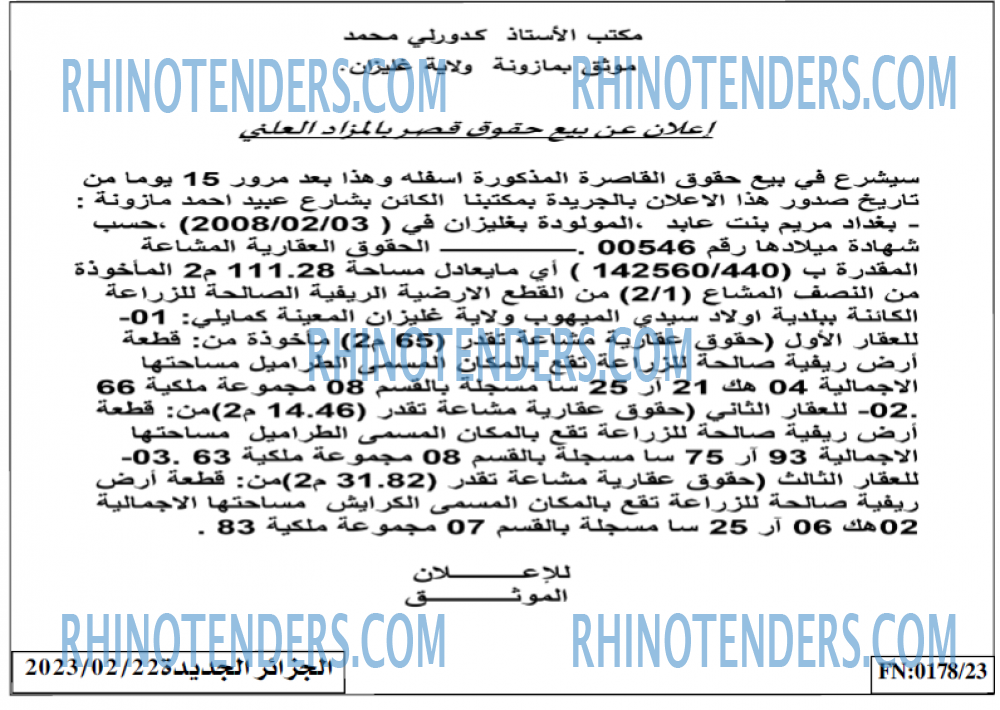 الجزائر الجديدة