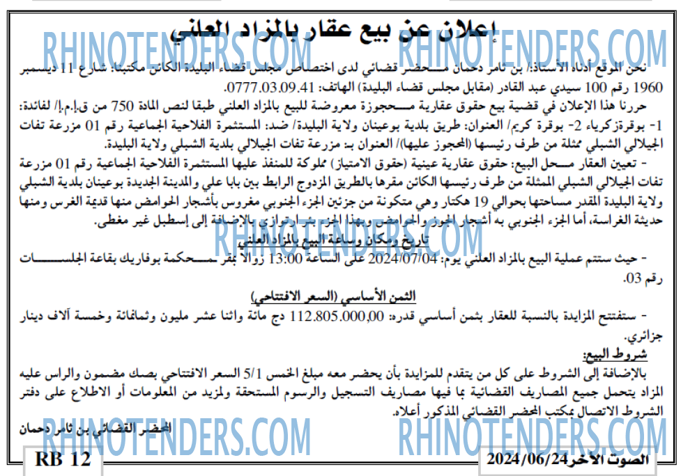 الصوت الاخر