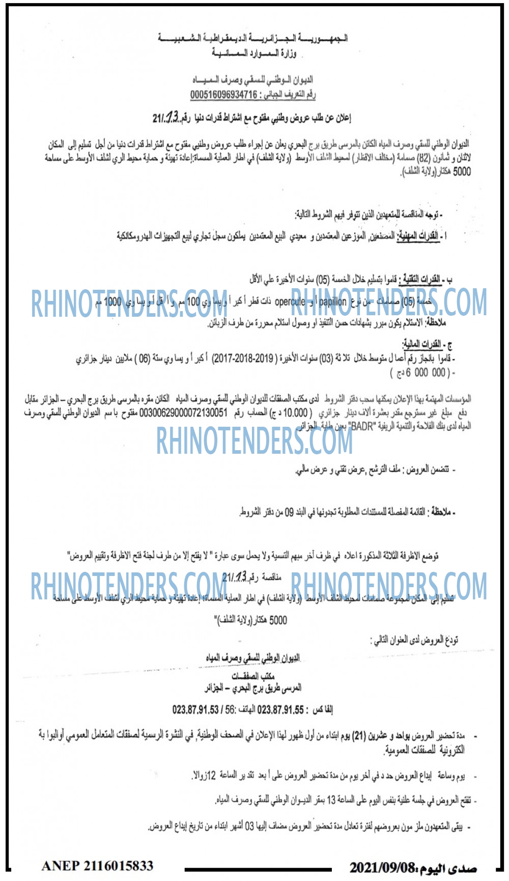 صدى اليوم