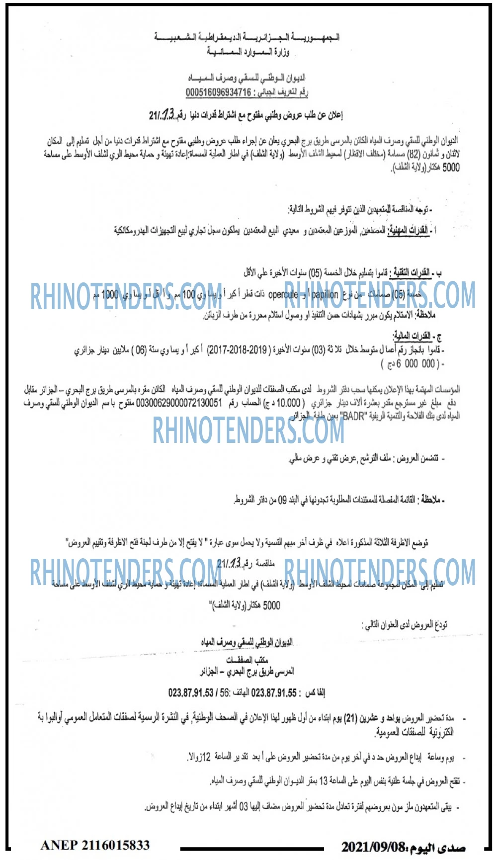 صدى اليوم