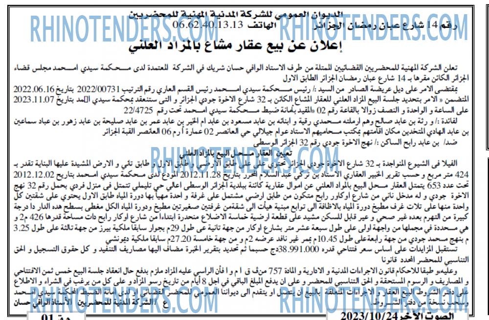 الصوت الاخر