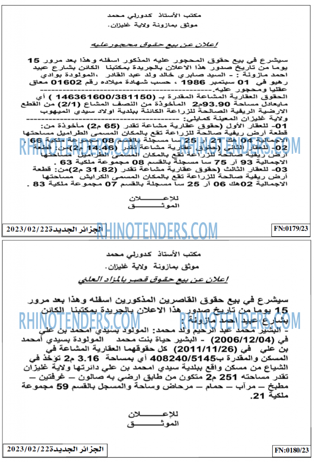 الجزائر الجديدة