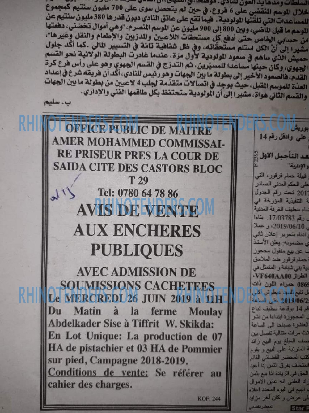 EL KHABAR